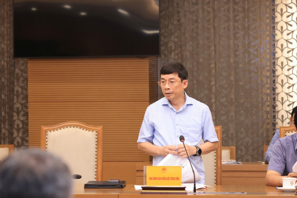 Đại diện Ban Chính sách, Chiến lược Trung ương phát biểu tại cuộc họp - Ảnh: VGP/Nguyễn Hoàng