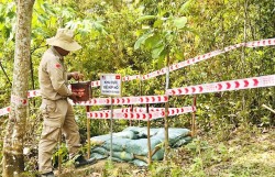 Câu chuyện hàn gắn giữa Việt Nam-Hoa Kỳ: Bằng chứng sức mạnh của lòng bao dung