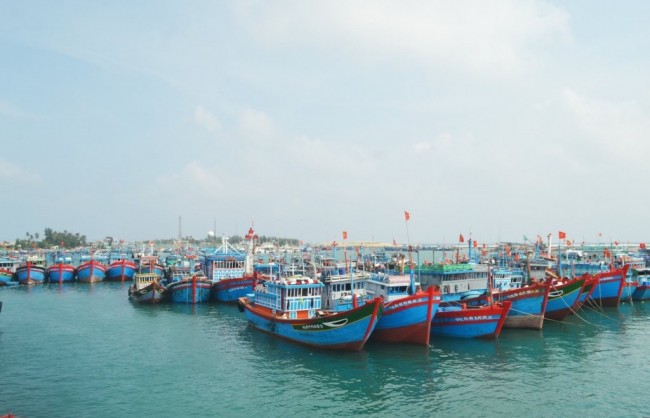 Thủ tướng chủ trì phiên họp 14 Ban Chỉ đạo chống khai thác hải sản bất hợp pháp, không báo cáo và không theo quy định