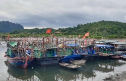 Quảng Ninh chủ động ứng phó với cơn bão số 10