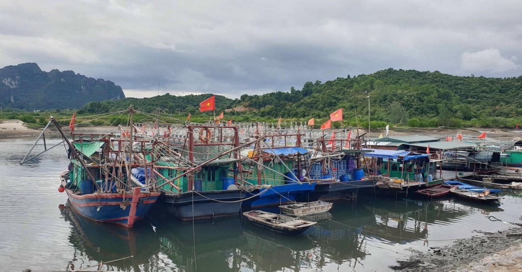 Quảng Ninh đã ra văn bản tạm ngừng cấp phép tàu từ 10h ngày 24/9 để ứng phó và phòng chống cơn bão số 9 Quảng Ninh đã ra văn bản tạm ngừng cấp phép tàu từ 10h ngày 24/9 để ứng phó và phòng chống cơn bão số 9