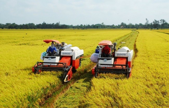Nông nghiệp không chỉ là "trụ đỡ" mà cần thể hiện vai trò tiên phong của nền kinh tế