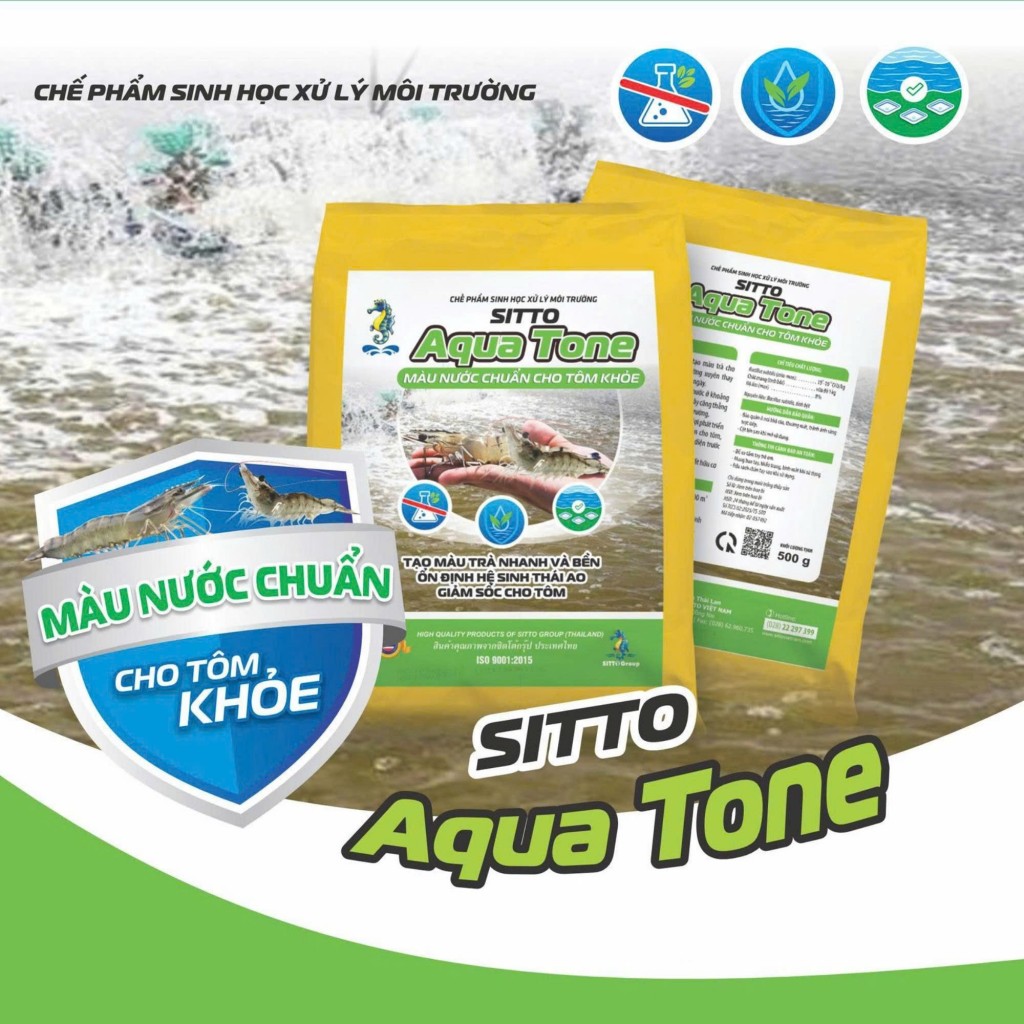 Màu nước chuẩn - Giải pháp bền vững cho ao tôm khoẻ