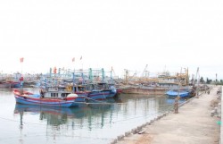 Đề nghị 21 tỉnh, thành phố chủ động ứng phó với bão Bualoi gần Biển Đông