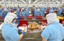 Hiến kế doanh nghiệp Việt khai thác tối đa hiệu quả các FTA