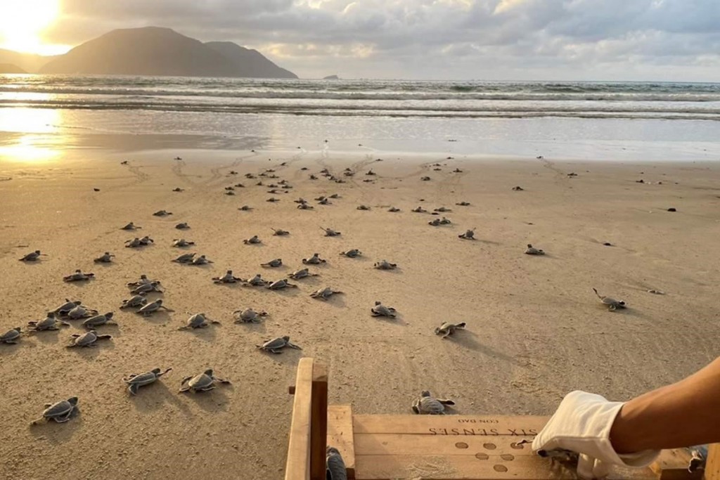 Khám phá những điểm đến tại Châu Á gắn liền với du lịch có trách nhiệm nhân Ngày Du lịch Thế giới 2025