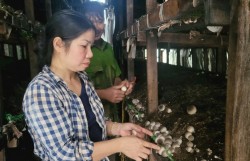 Khai thác "kho báu ẩn mình" trong phụ phẩm nông nghiệp