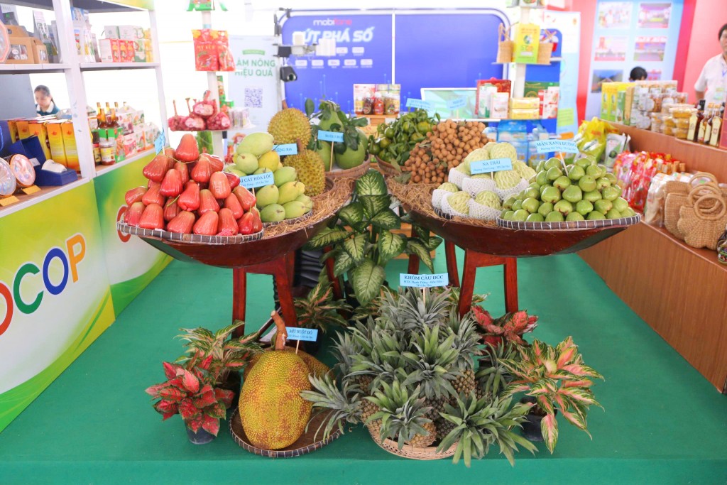 Không gian triển lãm thành tựu Cần Thơ: Đổi mới, sáng tạo và hội nhập