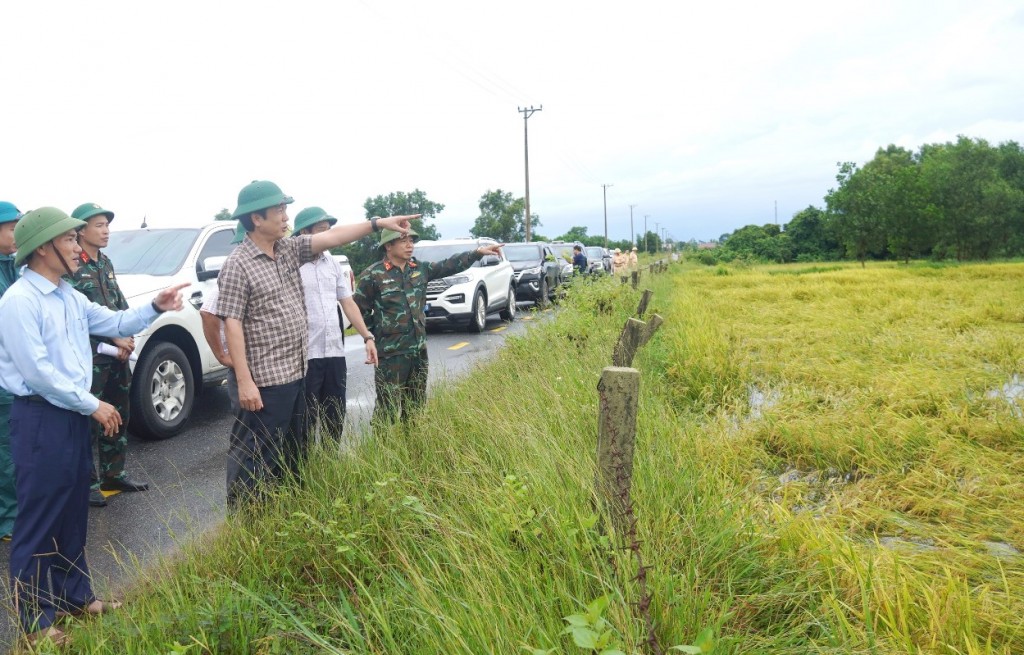 Phó Chủ tịch Thường trực UBND tỉnh Hoàng Nam chỉ đạo các giải pháp hỗ trợ người dân gặt lúa trước khi bão đổ bộ tại xã Hiếu Giang