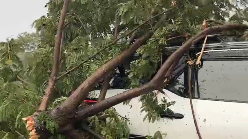 Đà Nẵng: Giải cứu 6 người trong ô tô bị cây đổ đè