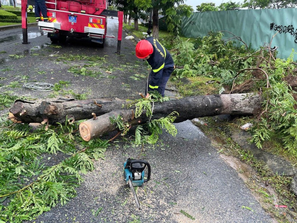 Đà Nẵng: Giải cứu 6 người trong ô tô bị cây đổ đè