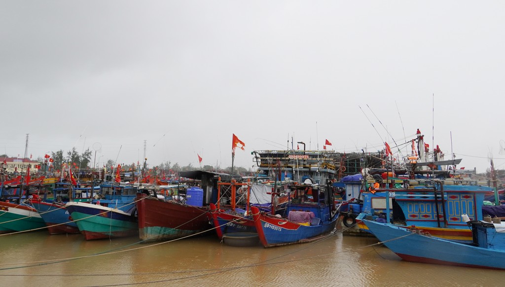 Toàn bộ 8.577 phương tiện/23.232 lao động của tỉnh đã vào nơi tránh trú an toàn