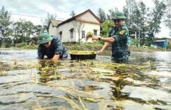 Triển khai quyết liệt công tác ứng phó với nguy cơ triều cường, mưa lũ, ngập lụt...