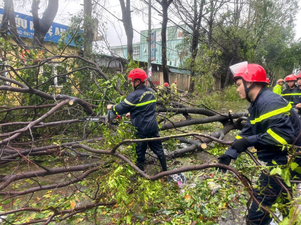 Ảnh minh hoạ Ảnh minh hoạ