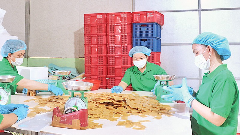 Ảnh minh hoạ Ảnh minh hoạ