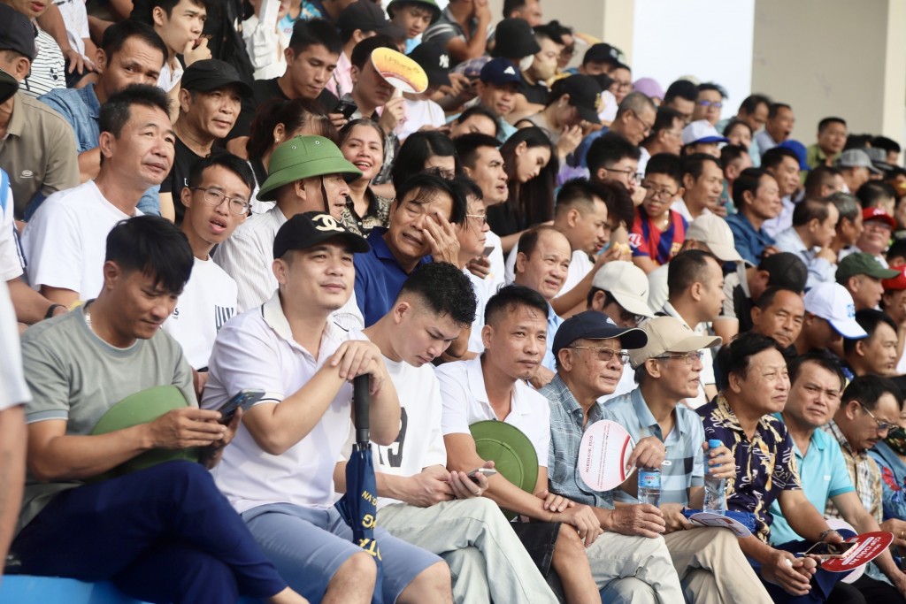 Lễ hội chọi trâu Hải Phòng thu hút hàng vạn du khách tham dự Lễ hội chọi trâu Hải Phòng thu hút hàng vạn du khách tham dự