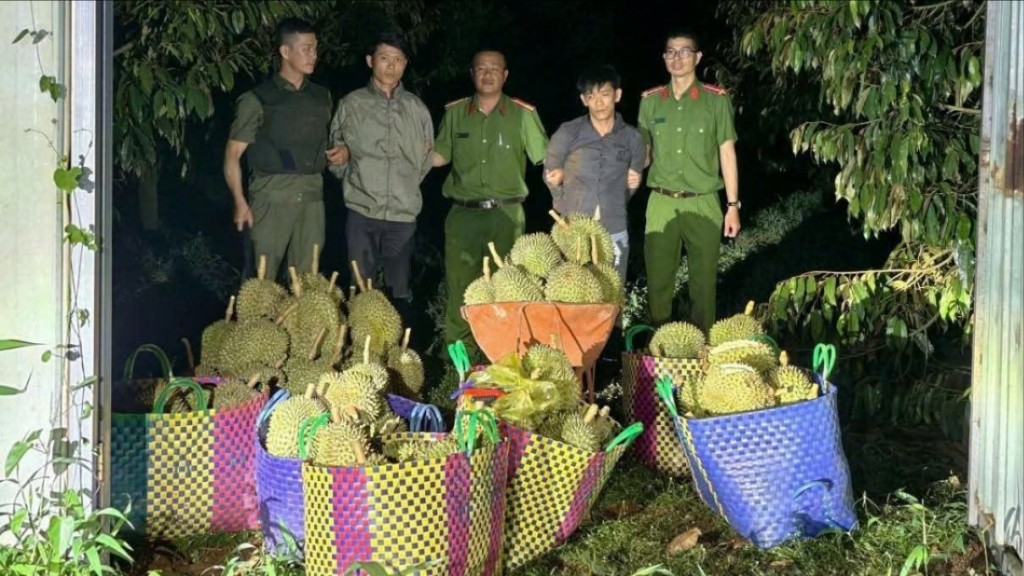 Hai thanh niên đi xe ô tô trộm sầu riêng đã bị lực lượng công an bắt giữ