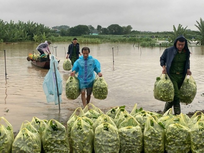 Khẩn trương khắc phục hậu quả bão, giúp Nhân dân ổn định cuộc sống