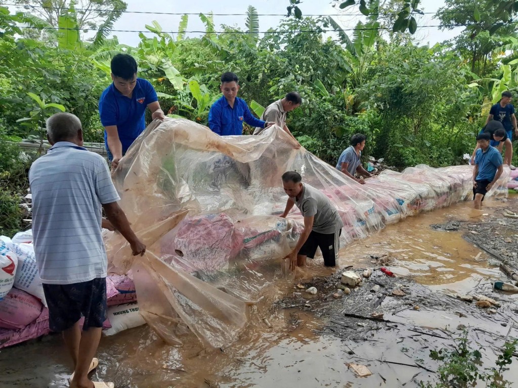 Đoàn viên, thanh niên cùng dân quân tự vệ và bà con gấp rút vận chuyển bao tải cát ra bờ đê, gia cố đoạn xung yếu