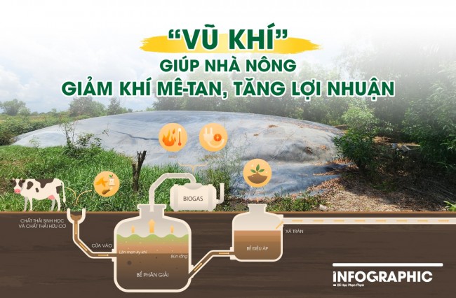 "Vũ khí" giúp nhà nông giảm khí mê-tan, tăng lợi nhuận