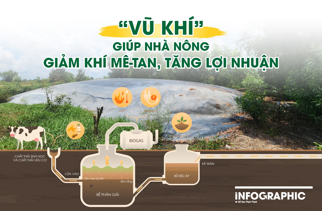 "Vũ khí" giúp nhà nông giảm khí mê-tan, tăng lợi nhuận