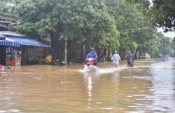 Gia Lai hỗ trợ 6 tỷ đồng giúp các tỉnh khắc phục sau bão