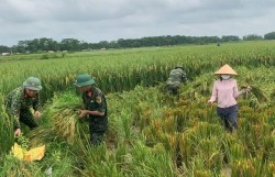 Điểm tựa vững chắc cho Nhân dân Thủ đô vượt qua mưa, bão