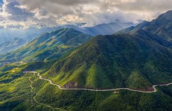 Giữ rừng, bảo vệ rừng chính là bảo vệ lá phổi của trái đất