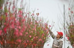 Trình Chính phủ phương án nghỉ Tết Nguyên đán 9 ngày, lễ Quốc khánh 5 ngày