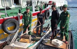 Đồn Biên phòng Cô Tô bắt giữ 2 phương tiện vi phạm lĩnh vực khai thác thủy sản
