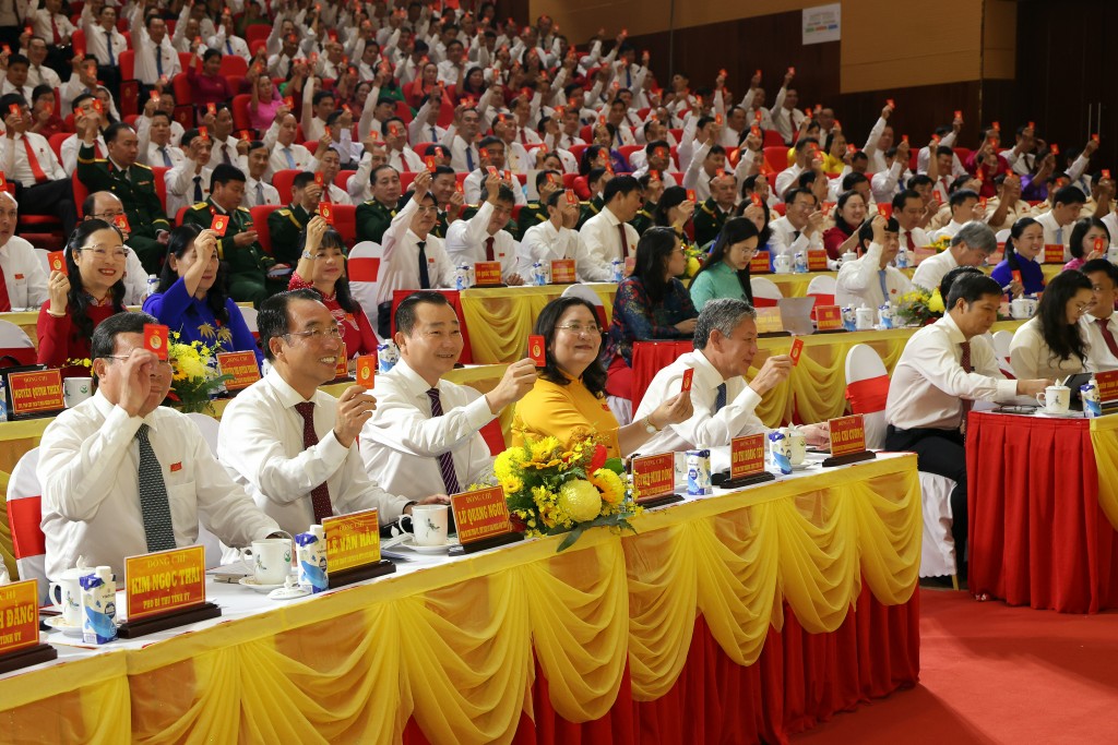 Đại biểu tham dự đại hội phiên trù bị