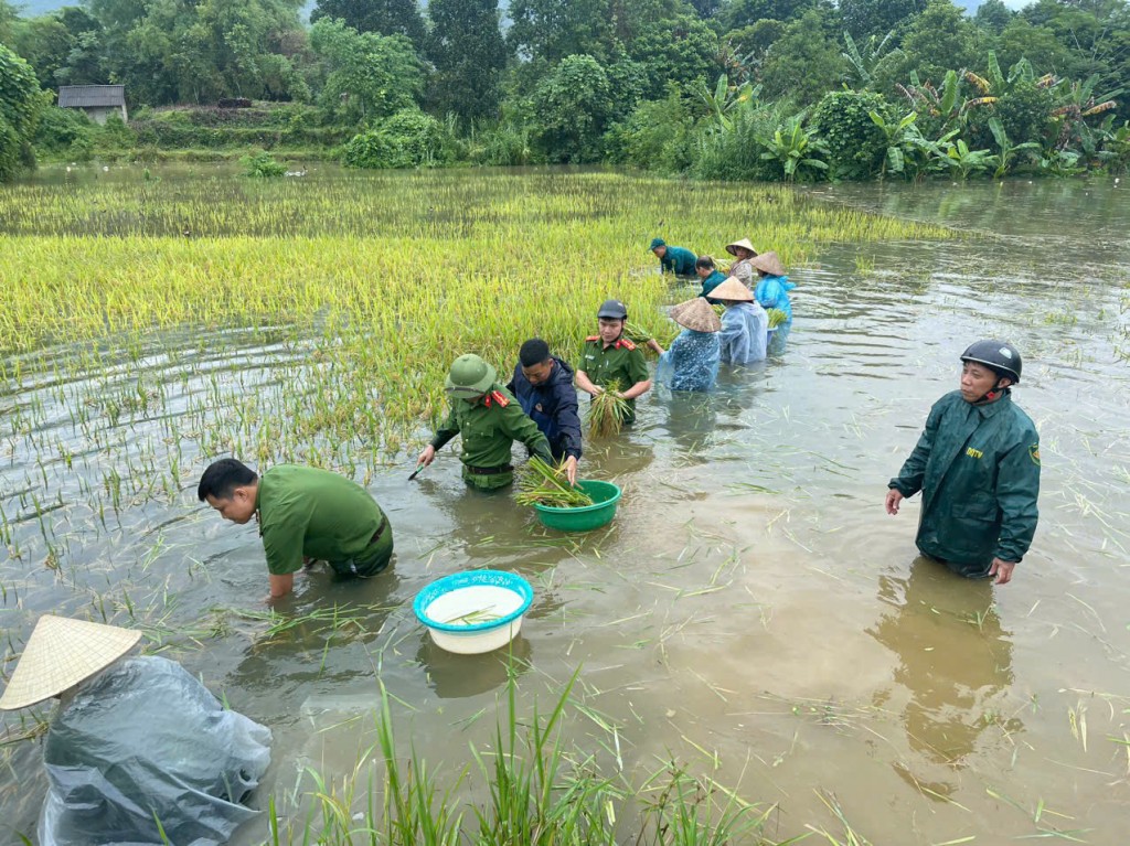 Thần tốc, huy động tối đa lực lượng khắc phục nhanh nhất hậu quả bão, lũ