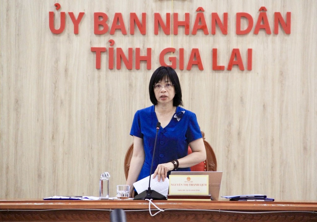 Phó Chủ tịch UBND tỉnh Gia Lai Nguyễn Thị Thanh Lịch phát biểu kết luận hội nghị Phó Chủ tịch UBND tỉnh Gia Lai Nguyễn Thị Thanh Lịch phát biểu kết luận hội nghị