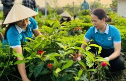 Dấu ấn phụ nữ trong hành trình xây dựng nông thôn mới