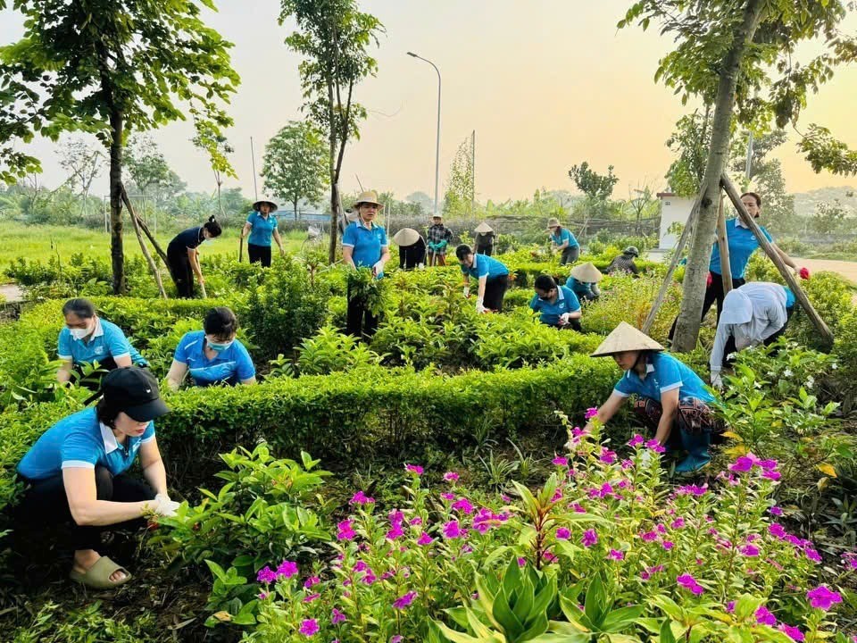 Cán bộ hội viên phụ nữ tích cực tham gia cuộc vận động xây dựng gia đình “5 không, 3 sạch” góp phần xây dựng nông thôn mới