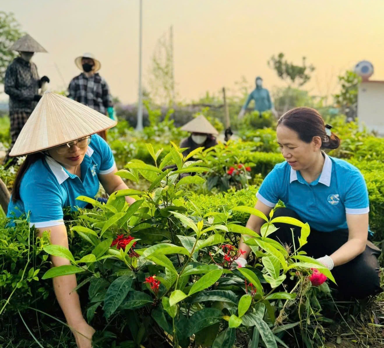 Dấu ấn phụ nữ trong hành trình xây dựng nông thôn mới