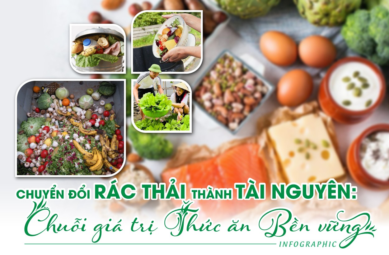 Chuyển đổi rác thải thành tài nguyên: Chuỗi giá trị thức ăn bền vững