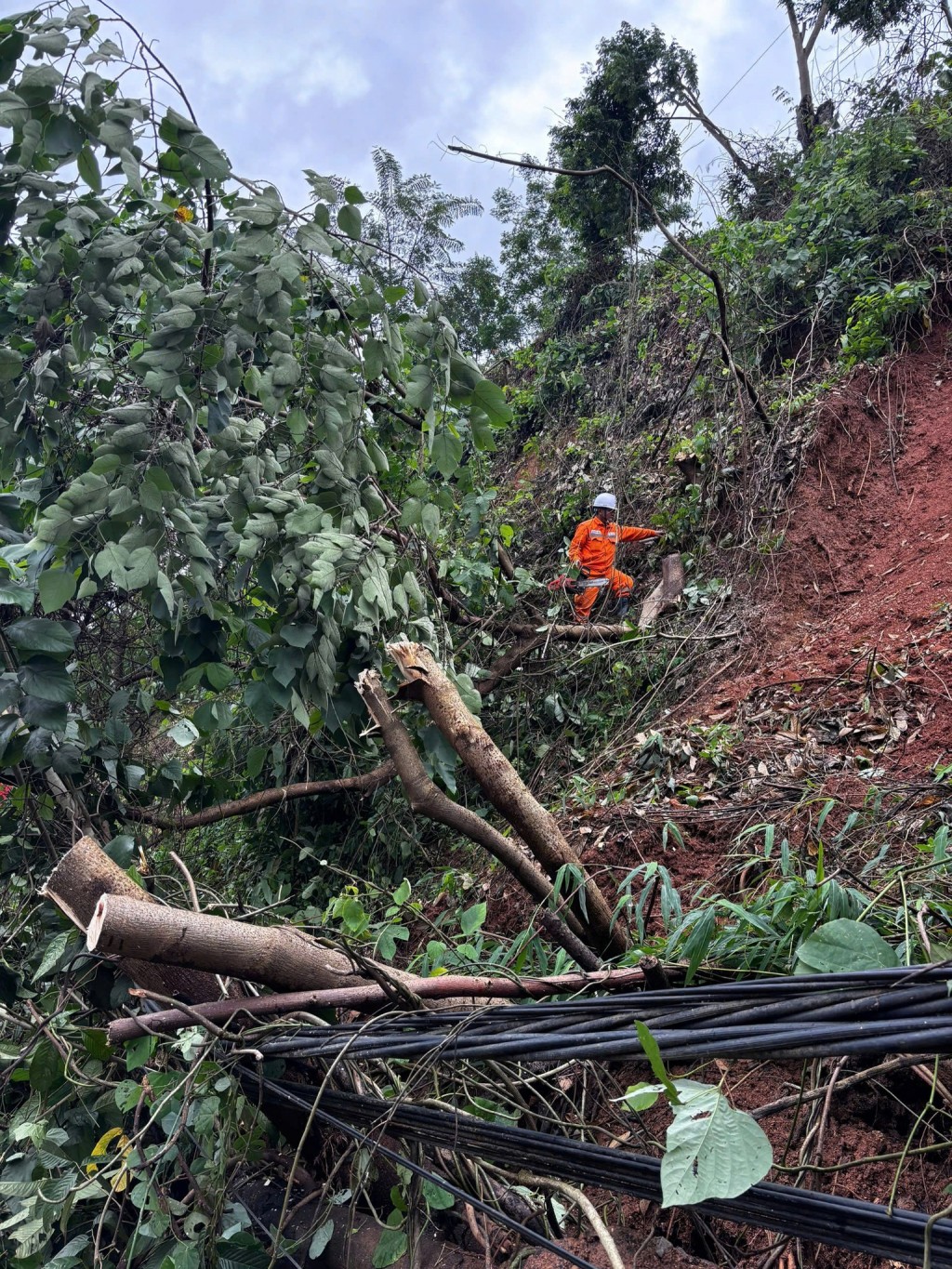 56 năm - một chặng đường tự hào của người thợ điện EVNNPC 56 năm - một chặng đường tự hào của người thợ điện EVNNPC