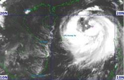 Bắc Bộ, Bắc Trung Bộ sẵn sàng ứng phó bão số 11 có thể mạnh thêm