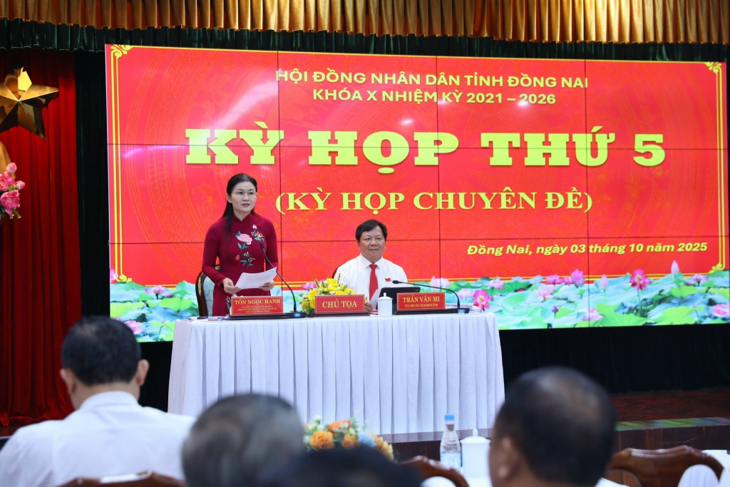 Tôn Ngọc Hạnh - Ủy viên dự khuyết Ban Chấp hành Trung ương Đảng, Phó Bí thư Thường trực Tỉnh ủy, Chủ tịch HĐND tỉnh phát biểu tại cuộc họp