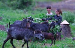 Những người hùng giữ bản và gieo mầm đổi thay đất nghèo