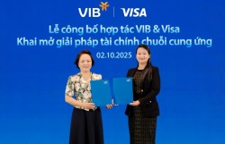 Visa đồng hành cùng hộ kinh doanh Việt Nam trong hành trình chuyển đổi số và tuân thủ quy định về chính sách thuế