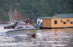 Rạng sáng ngày 6/10, bão số 11 đi vào phía Bắc vịnh Bắc Bộ và suy yếu dần