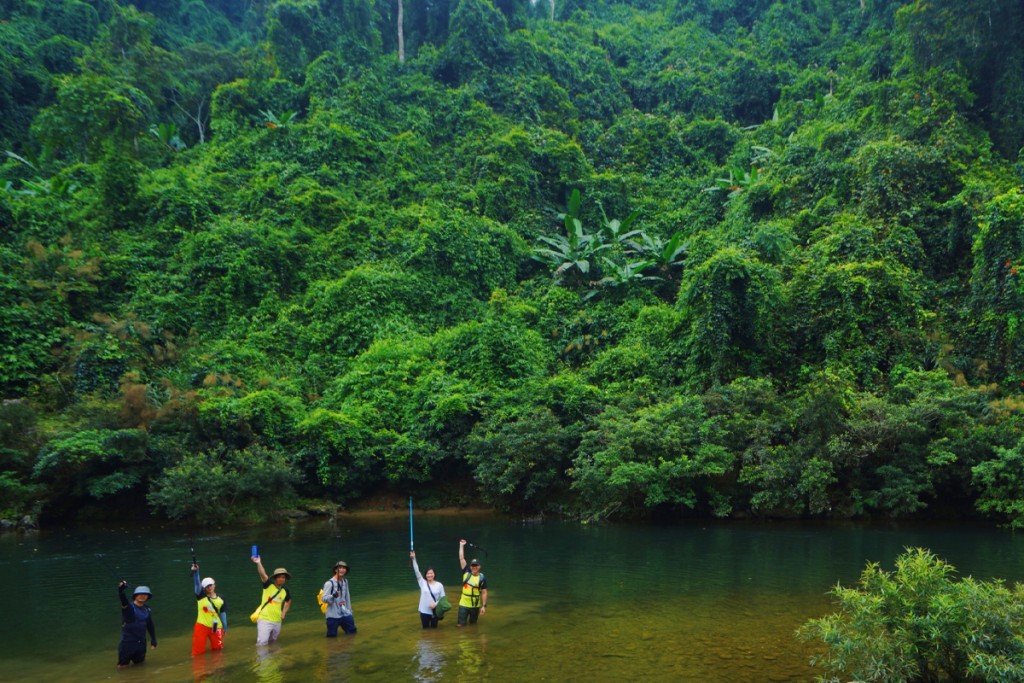 trekking giữa Pù Mát là trải nghiệm “xanh” đúng nghĩa, nơi con người thật sự hòa vào thiên nhiên.