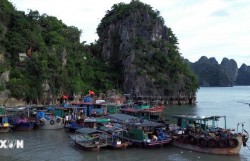 Bão số 11 sẽ ảnh hưởng mạnh, gây ngập lụt ven biển Quảng Ninh-Hải Phòng