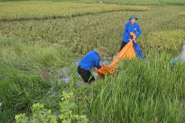 Phát huy “4 tại chỗ”, tuổi trẻ chủ động ứng phó bão lũ