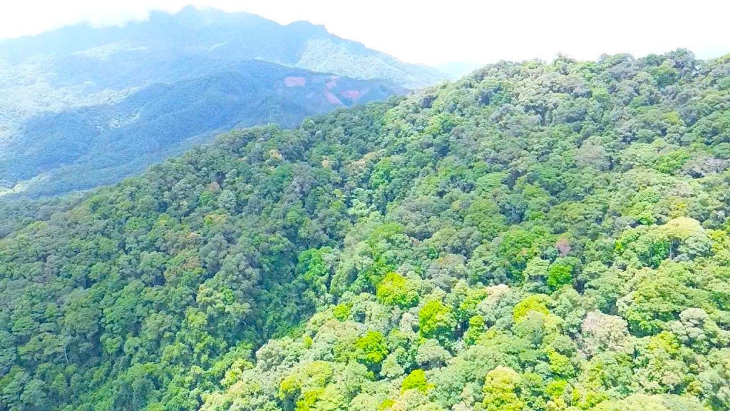 Đẩy mạnh công tác quản lý, bảo vệ, phòng cháy chữa cháy rừng