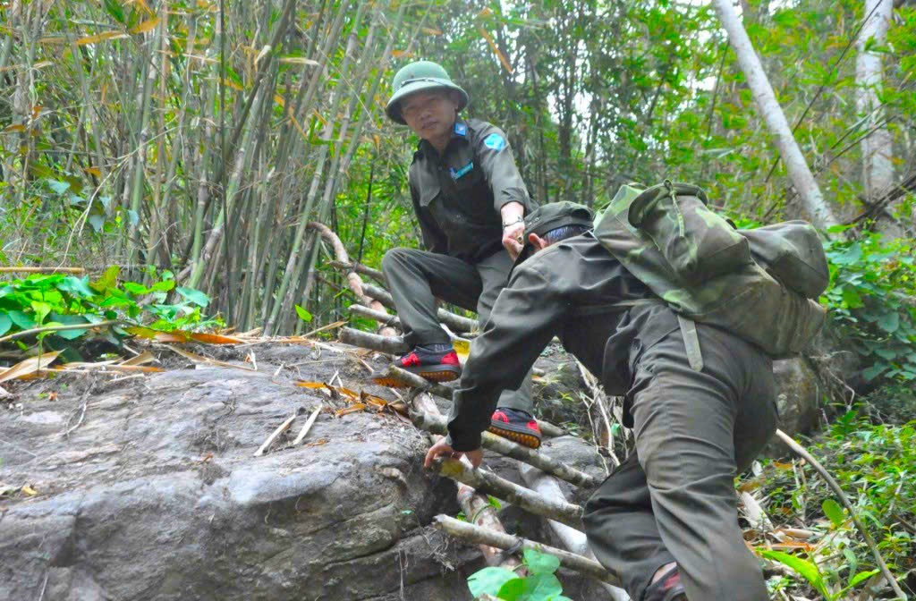 Đẩy mạnh công tác quản lý, bảo vệ, phòng cháy chữa cháy rừng