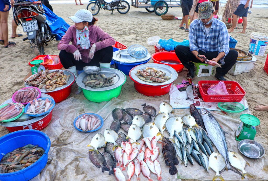 Đánh bắt gần bờ, thời gian ngắn nên hải sản tươi ngon (Ảnh Đ.Minh)