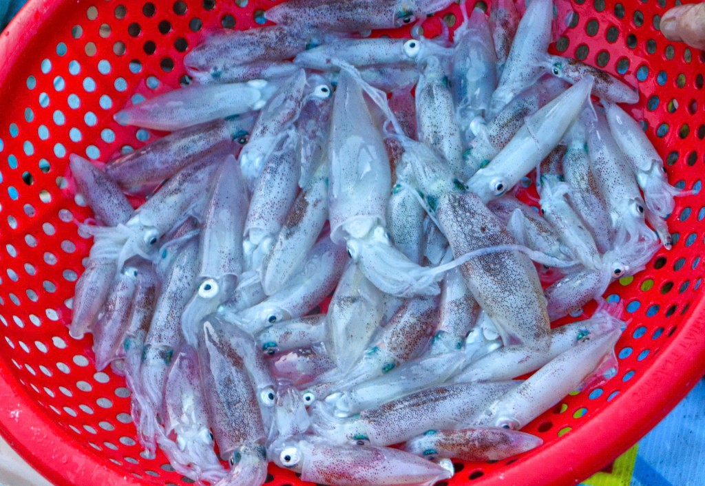 Ở đây hải sản luôn tươi rói, không dùng chất bảo quản, giá cả phải chăng